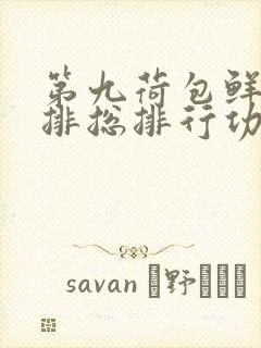 第九荷包鲜辣肉排总排行功能介绍