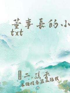 董事长的小王爷txt