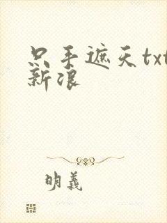 只手遮天txt新浪