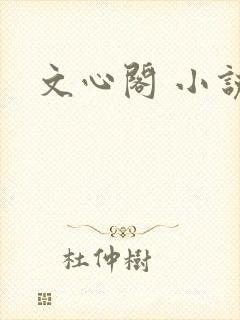 文心阁 小说