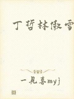 丁哲林傲雪小说