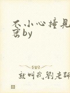 不小心撞见的秘密by