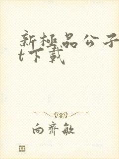 新极品公子txt下载