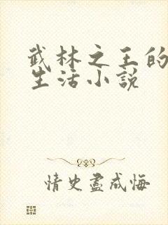 武林之王的退隐生活小说