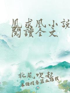 凤求凰小说免费阅读全文