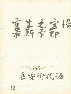 重生之官场风流最新章节