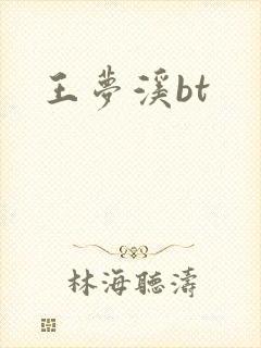 王梦溪bt