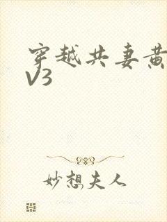 穿越共妻黄暴1V3