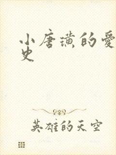 小唐璜的爱情历史