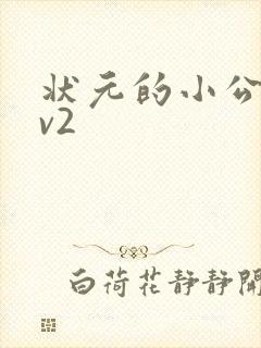 状元的小公主1v2