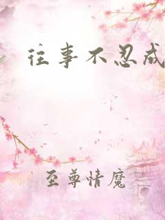 往事不忍成历史