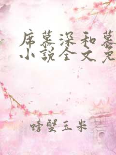 席慕深和慕清泠小说全文免费阅读