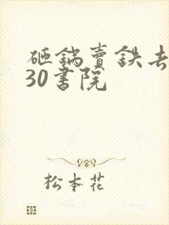 砸锅卖铁去上学30书院