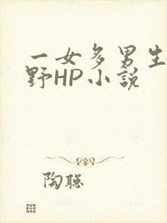 一女多男生活狂野HP小说