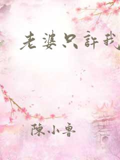 老婆只许我宠你