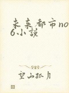 未来都市no.6小说