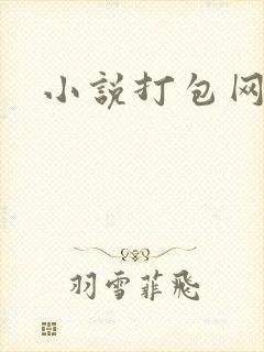 小说打包网