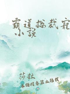 霸道总裁宠上天 小说