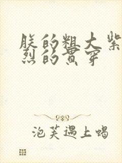 朕的粗大紫红猛烈的贯穿