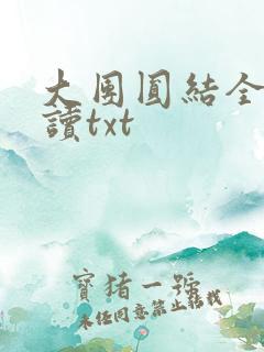 大团圆结全文阅读txt