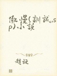 傲慢(训诫,sp)小说