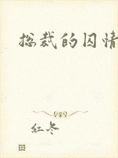 总裁的囚情前妻