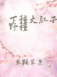 下种大肚子怀孕野种