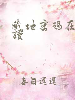 藏地密码在线阅读