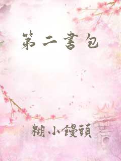 第二书包