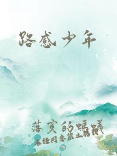 路感少年