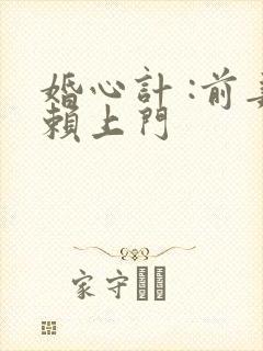 婚心计 :前妻赖上门