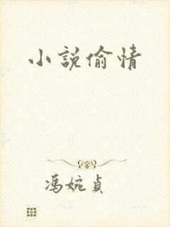 小说偷情