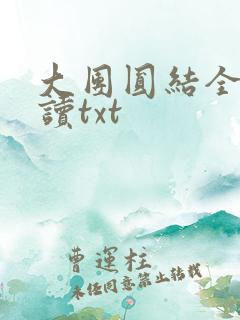 大团圆结全文阅读txt