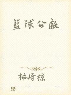 篮球公敌