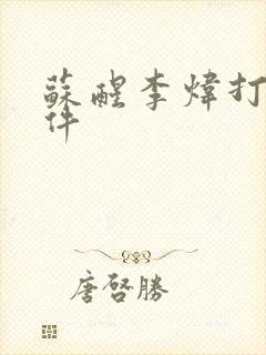 苏醒李炜打架事件