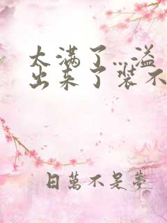 太满了...溢出来了装不下了