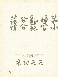 荡公乱妇第1章情公苏雪小说