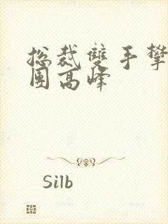 总裁双手攀上两团高峰