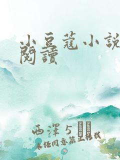 小豆蔻小说全文阅读