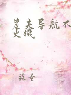 农夫导航不准打火机