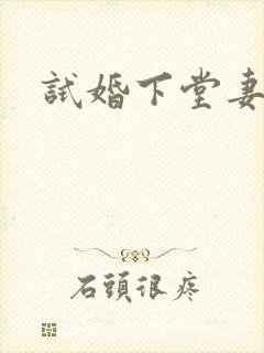 试婚下堂妻
