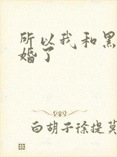 所以我和黑粉结婚了