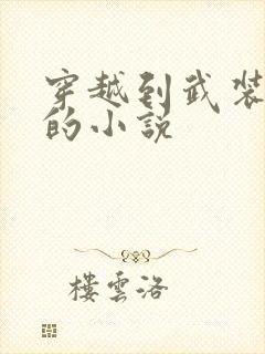 穿越到武装少女的小说