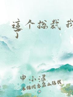 这个总裁 我要了