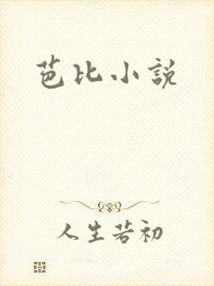 芭比小说