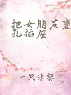 把女朋友变成三孔插座