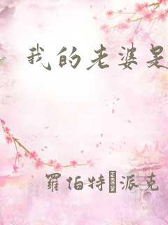 我的老婆是卧底