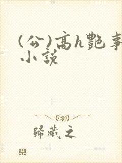 (公)高h艳事小说