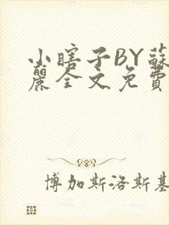 小瞎子BY苏玛丽全文免费笔趣阁