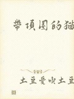 带项圈的猫耳娘